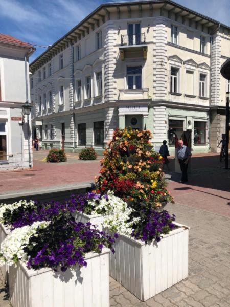 Old Town Apartment パルヌ エクステリア 写真